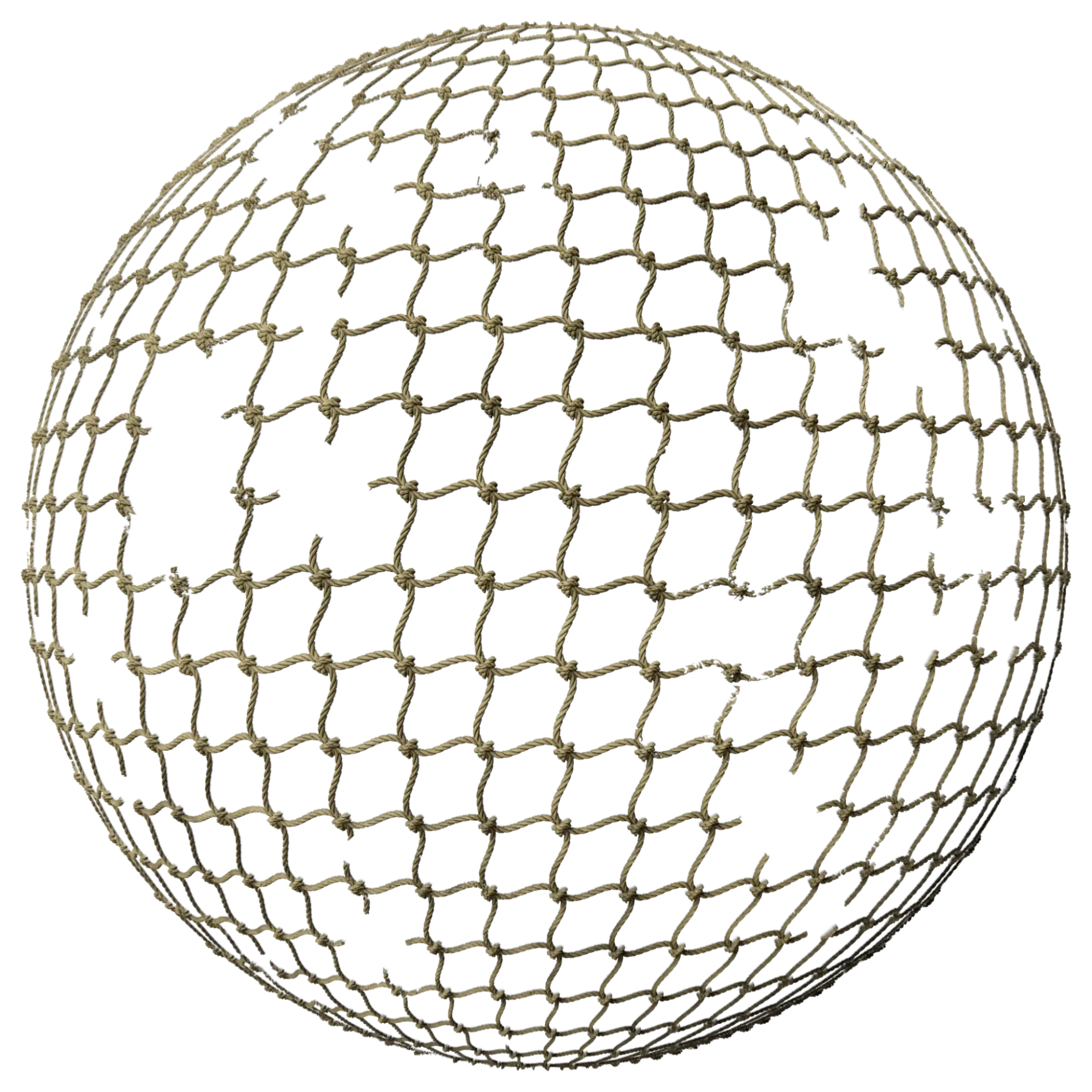 Net 002 B