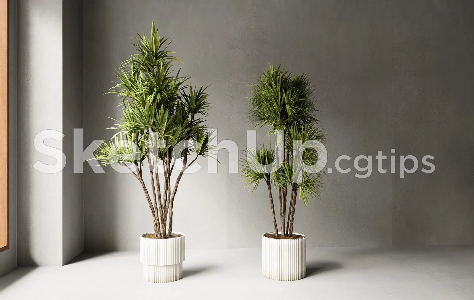 Plant — preview 1 (cgtips)