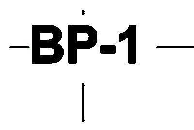 Braced Panel Tag