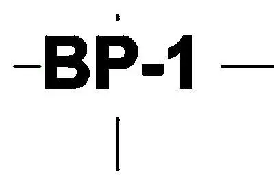 Braced Panel Tag