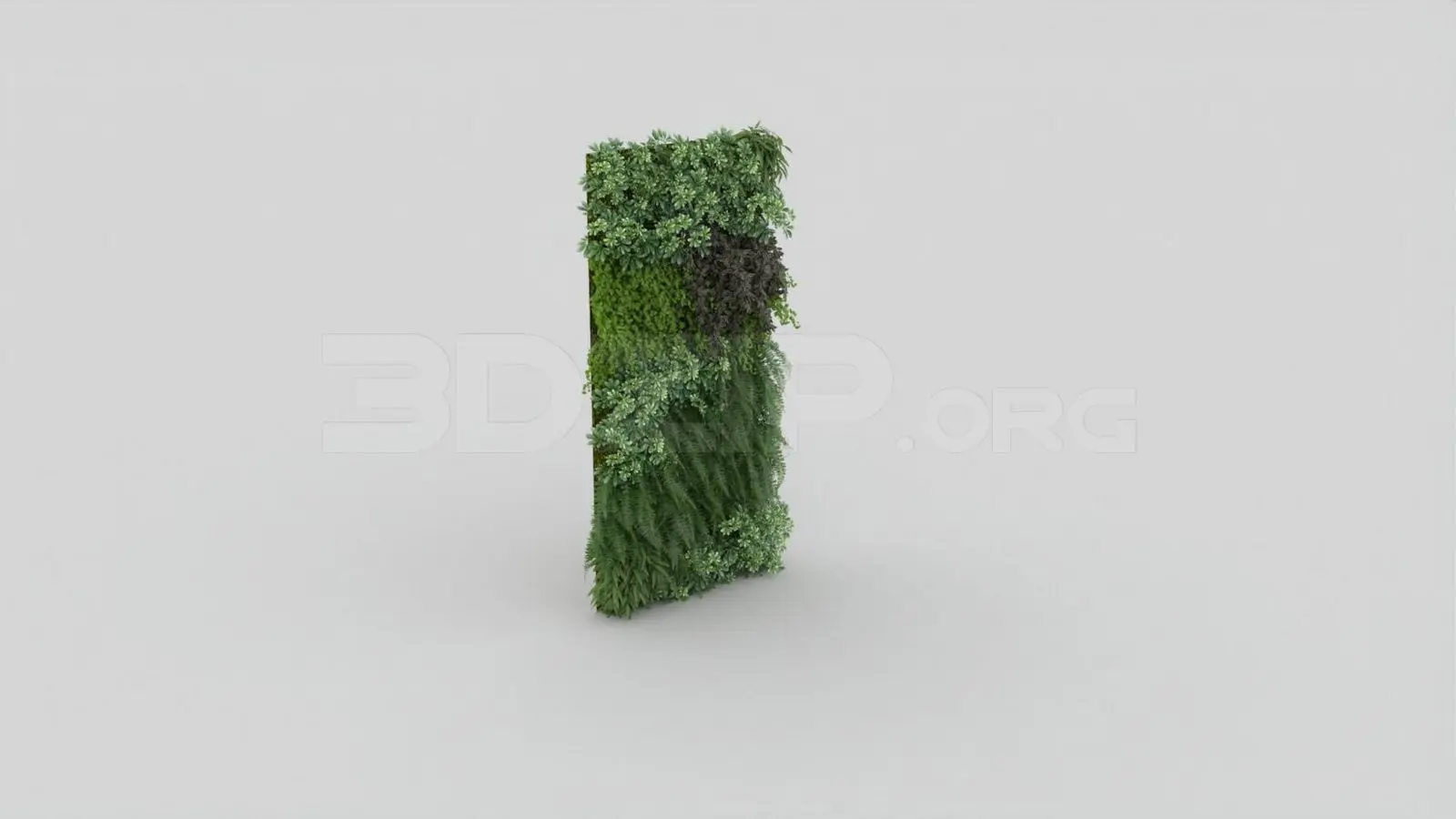Plant