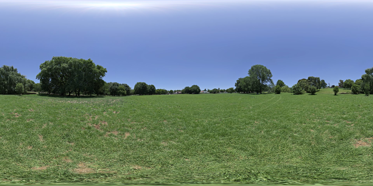 Noon Grass