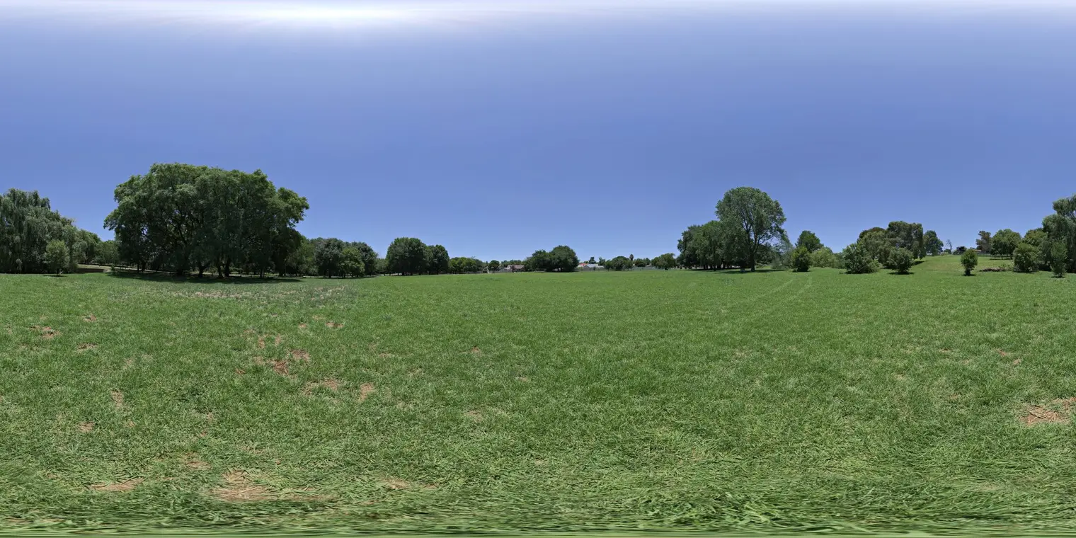 Noon Grass