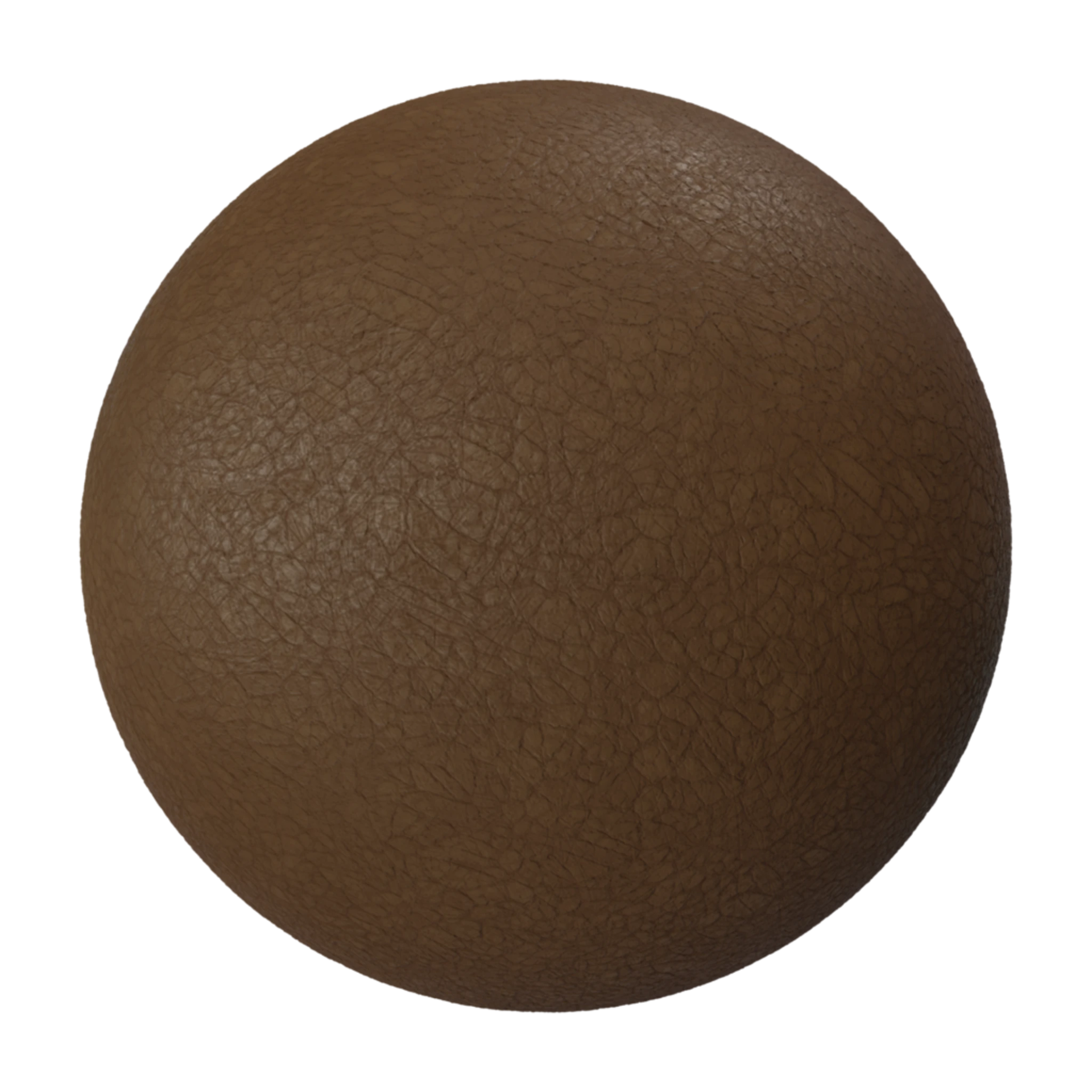 Leather 022