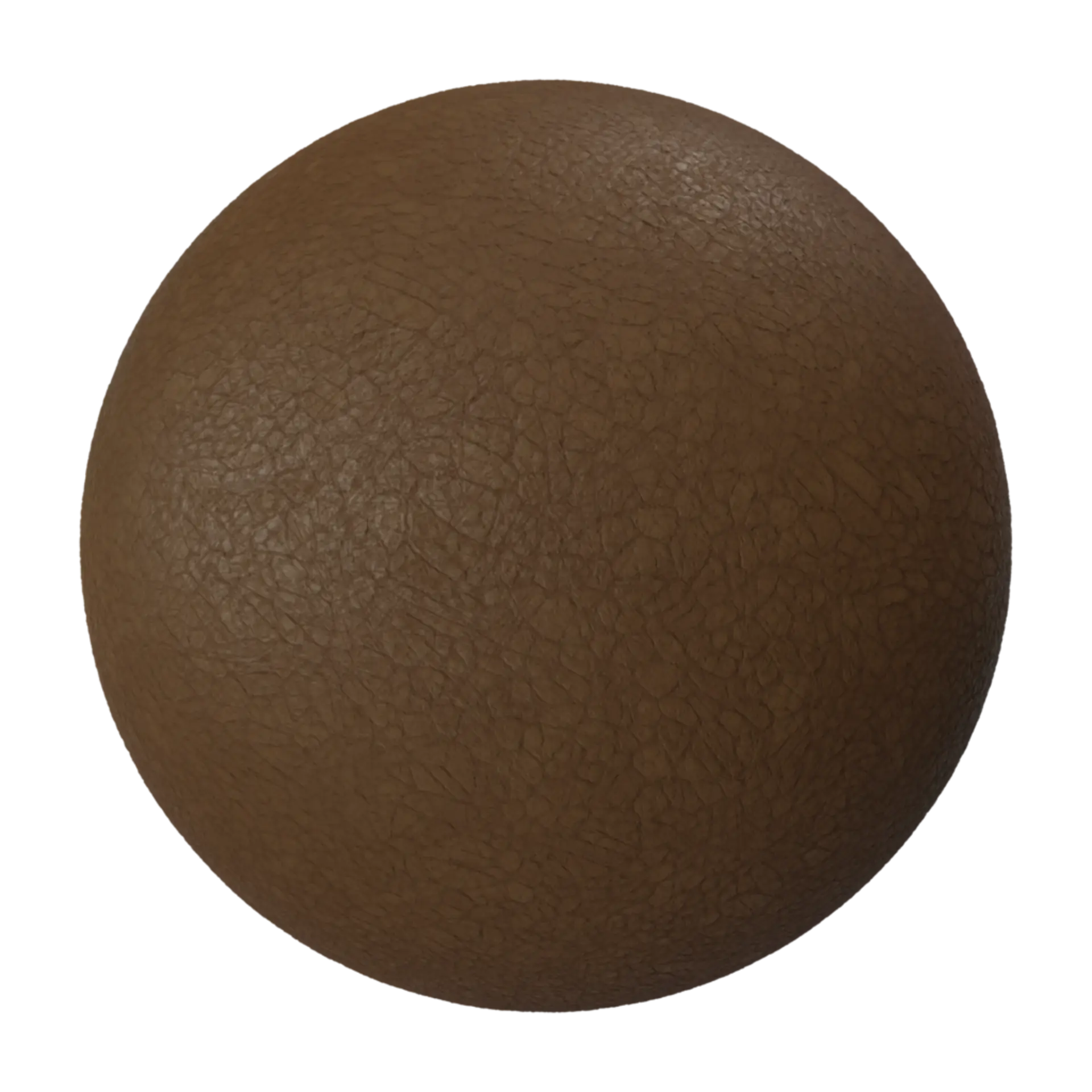 Leather 022