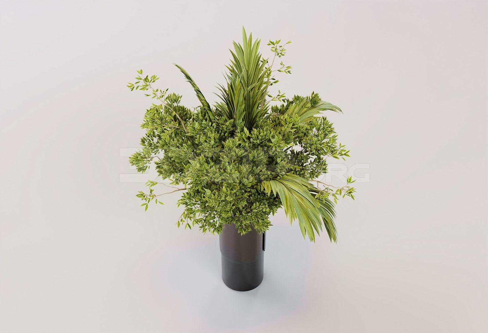 Plant — preview 1 (3dzip)
