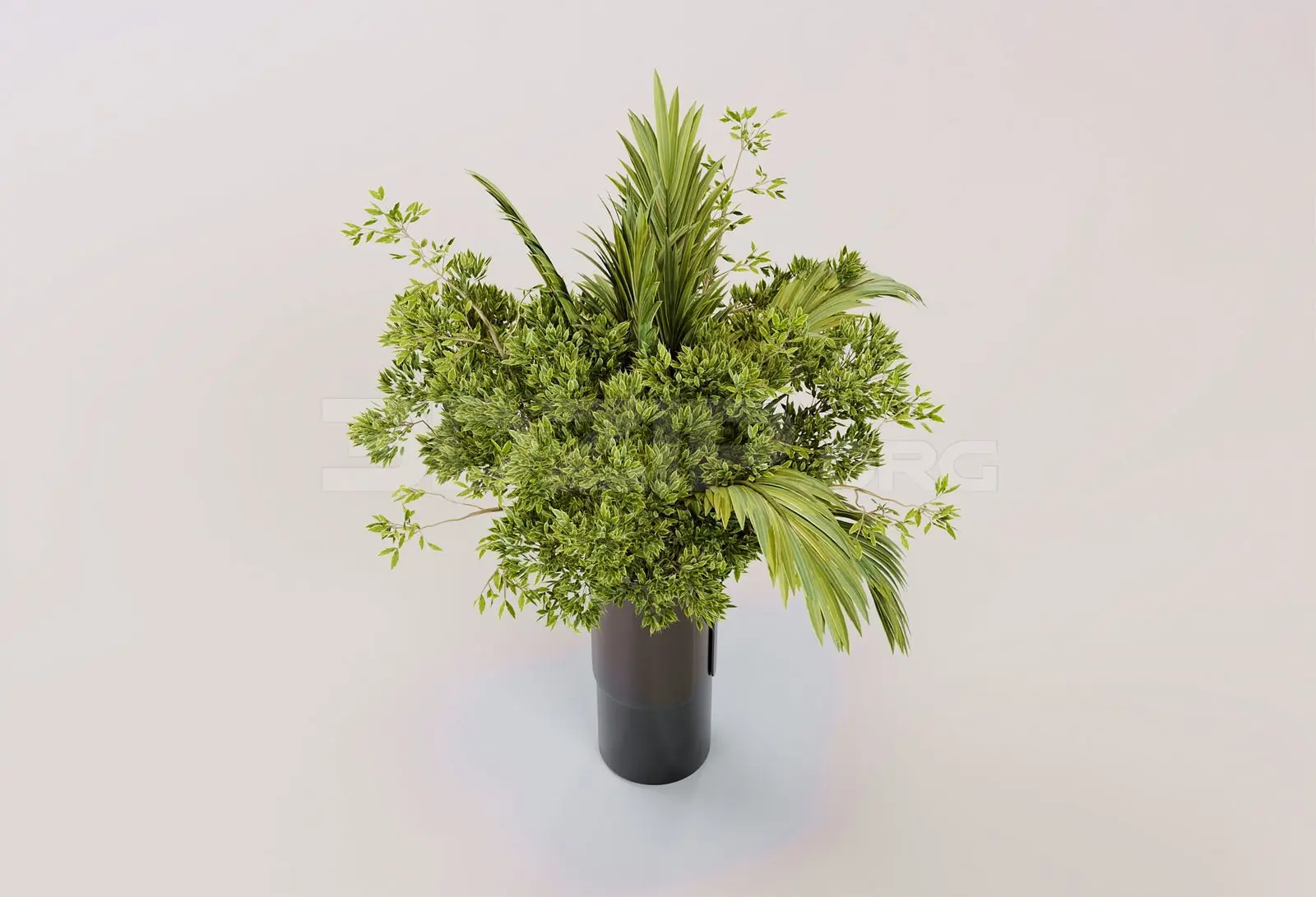 Plant