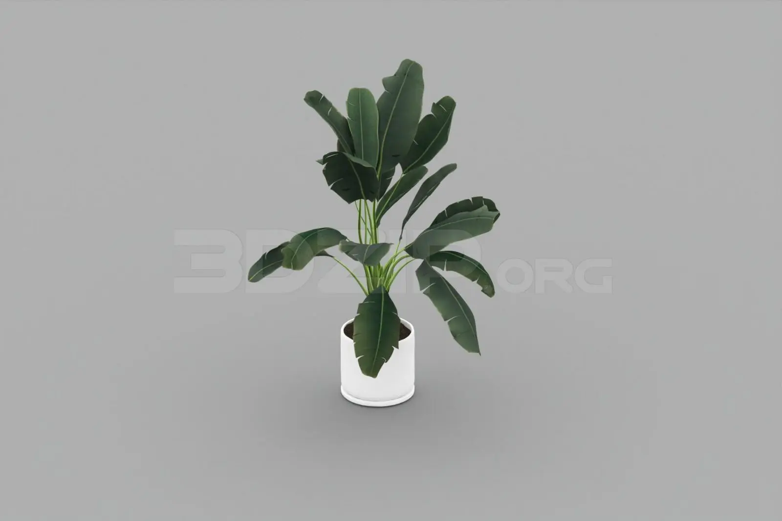 Banana Tree — preview 1, by Kha Vi (3dzip)