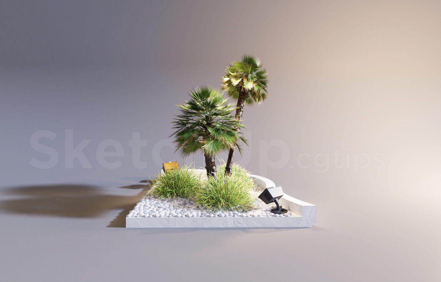 Plant