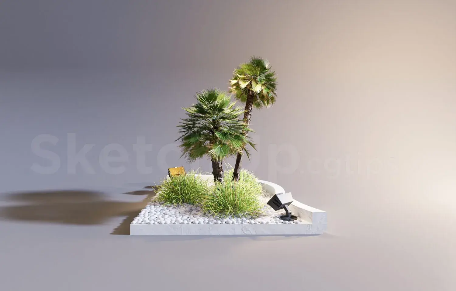 Plant