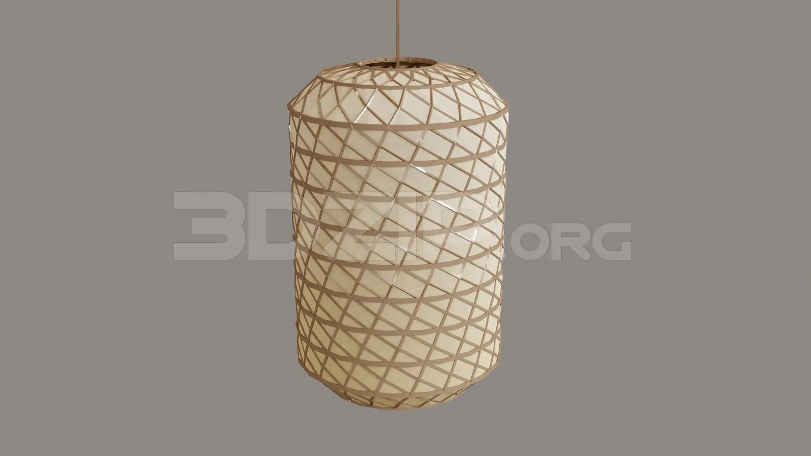 Ceiling Light