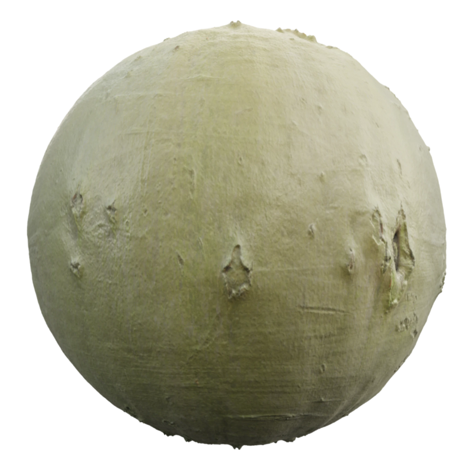 Bark 005