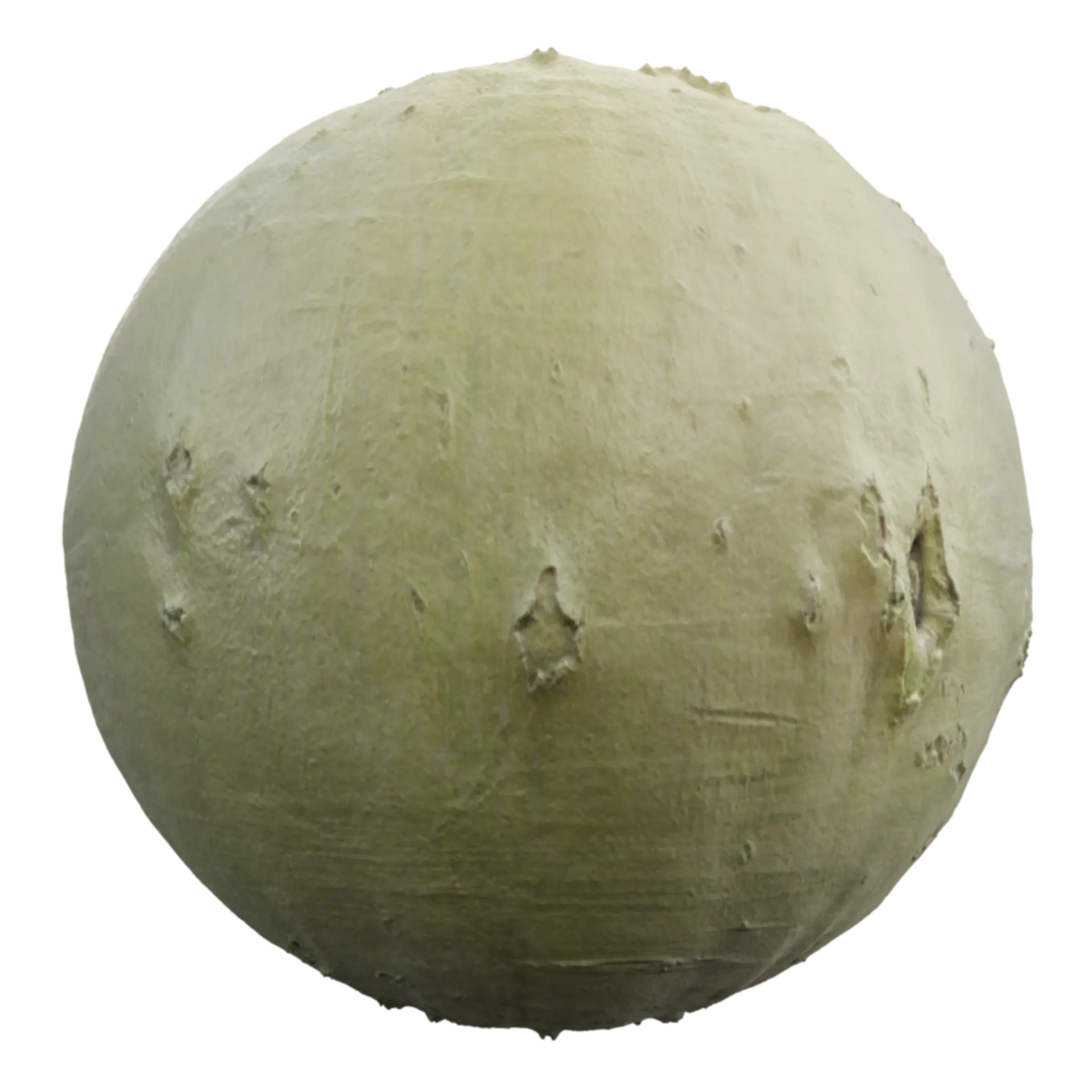 Bark 005