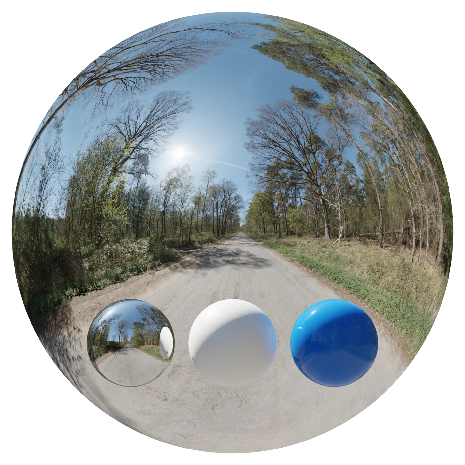 Day Environment HDRI 023