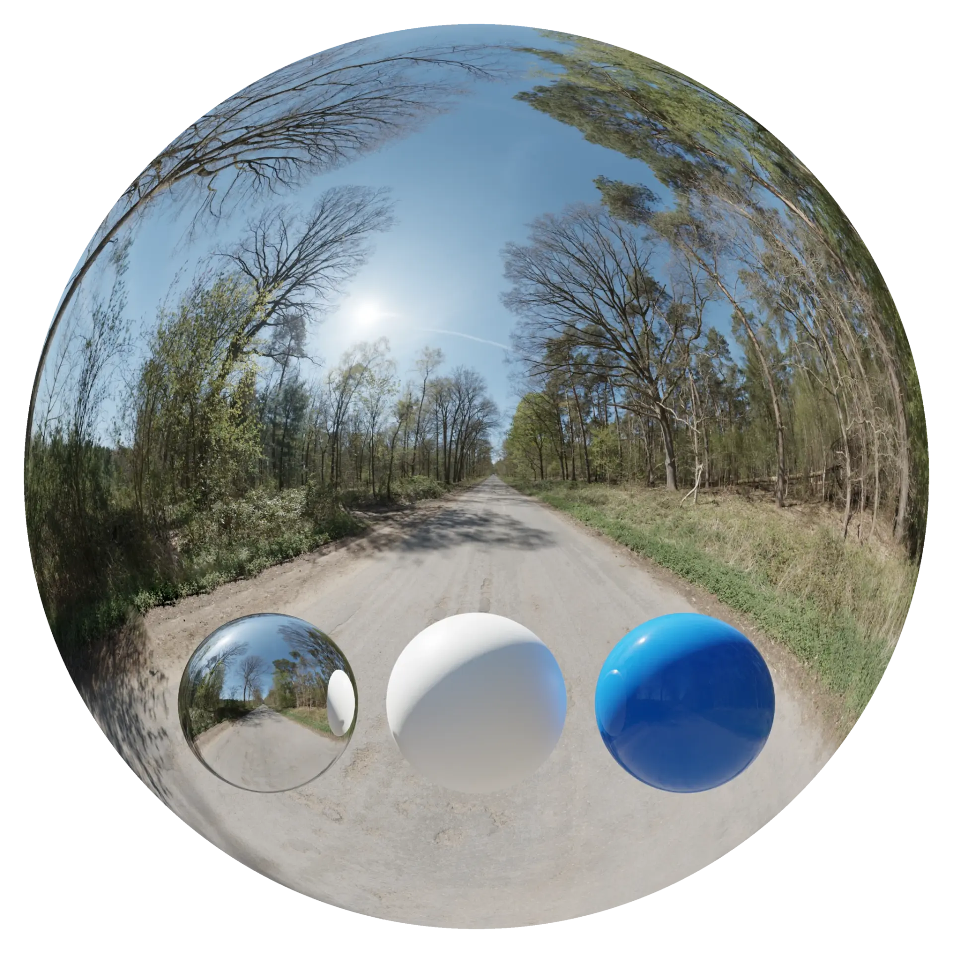 Day Environment HDRI 023