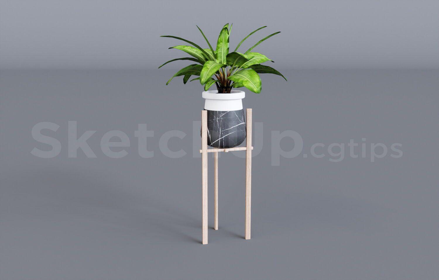 Plant
