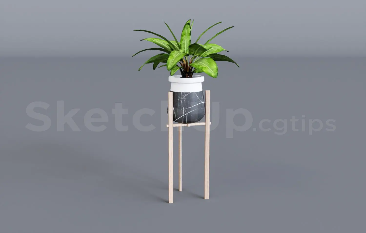 Plant — preview 1 (cgtips, CC0)
