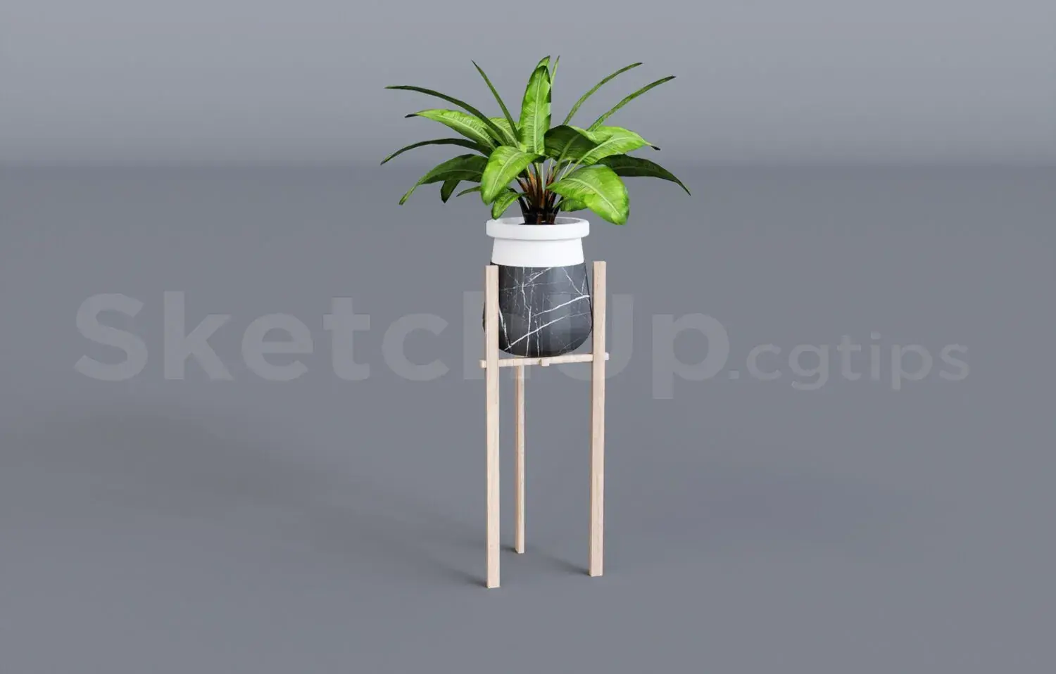 Plant