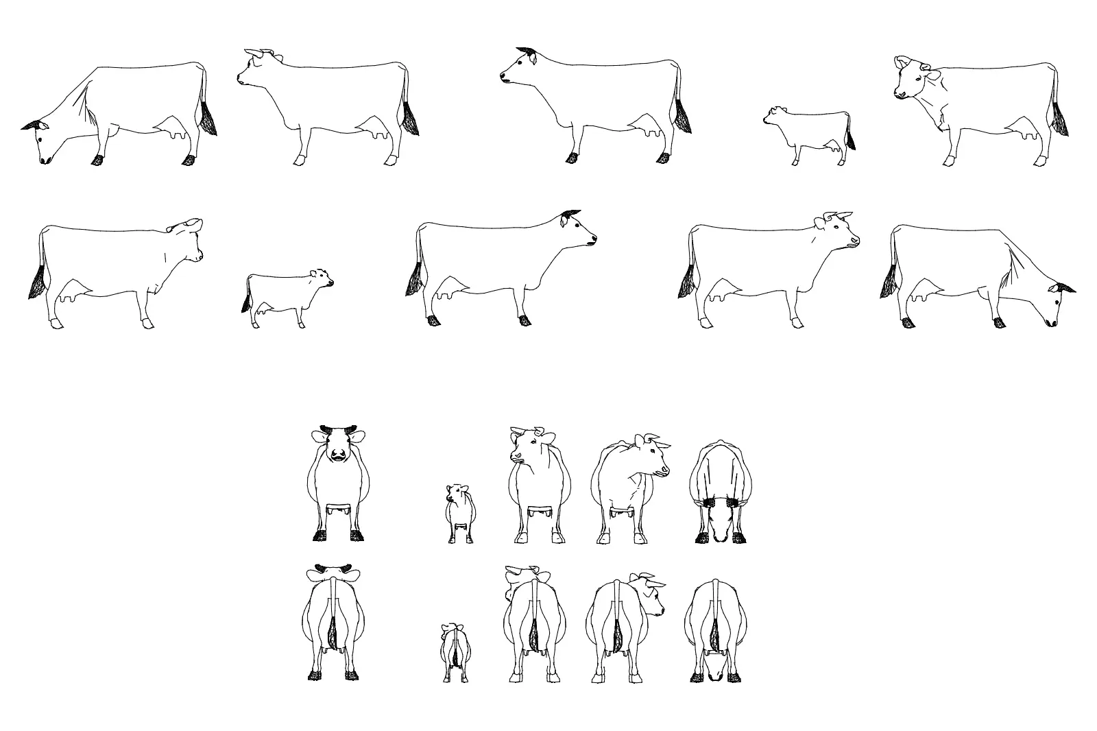 Cows — CAD drawing preview