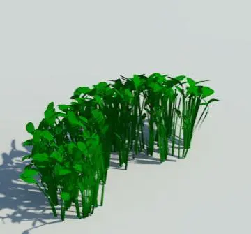 Plant Planta