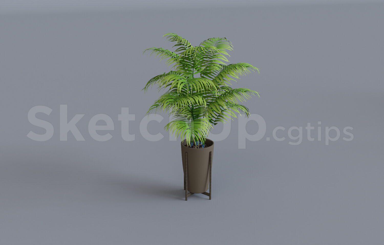 Plant