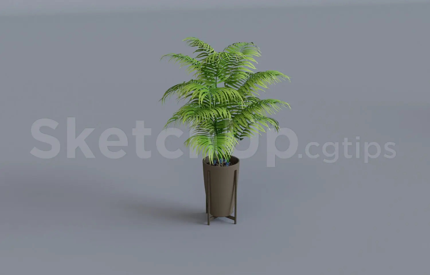 Plant — preview 1 (cgtips, CC0)