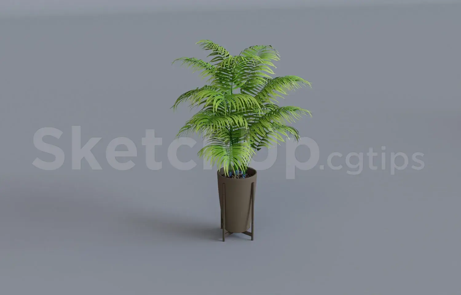 Plant
