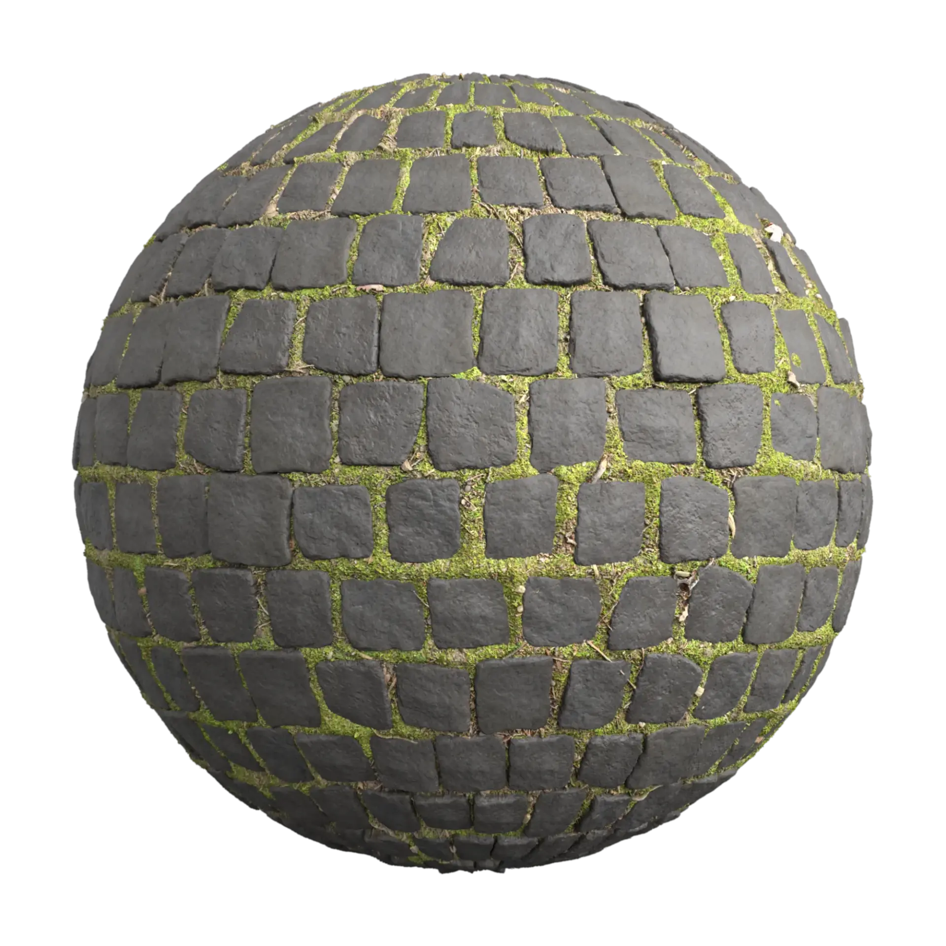 Paving Stones 067
