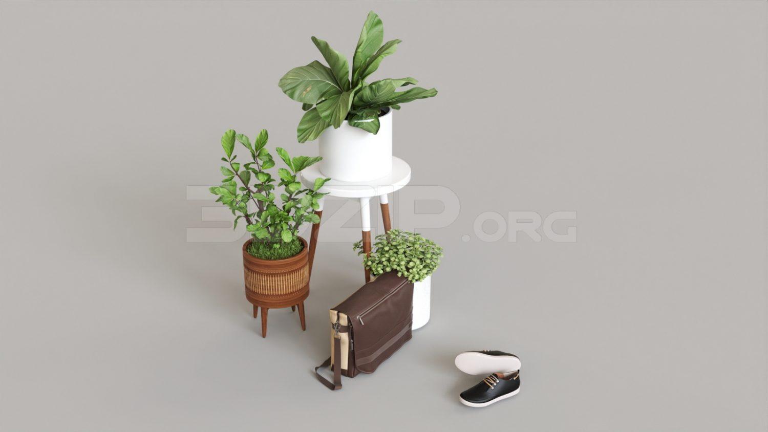 Plant
