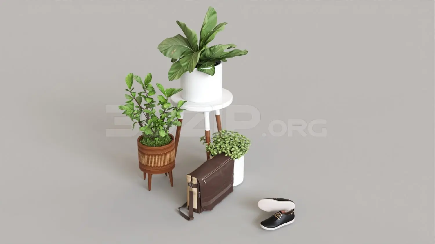 Plant