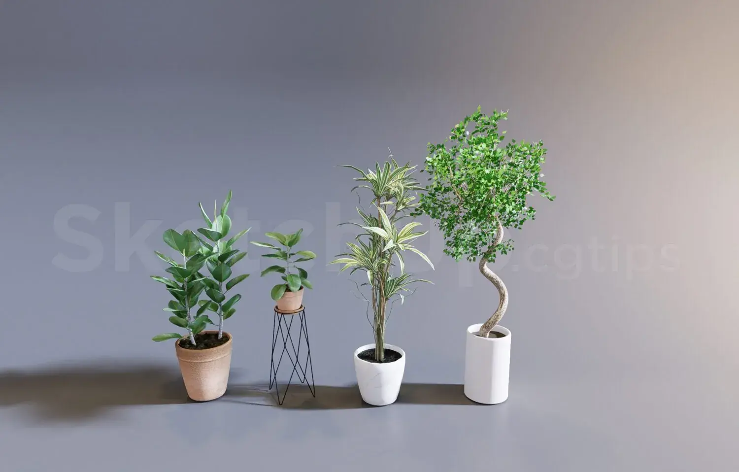 Plant