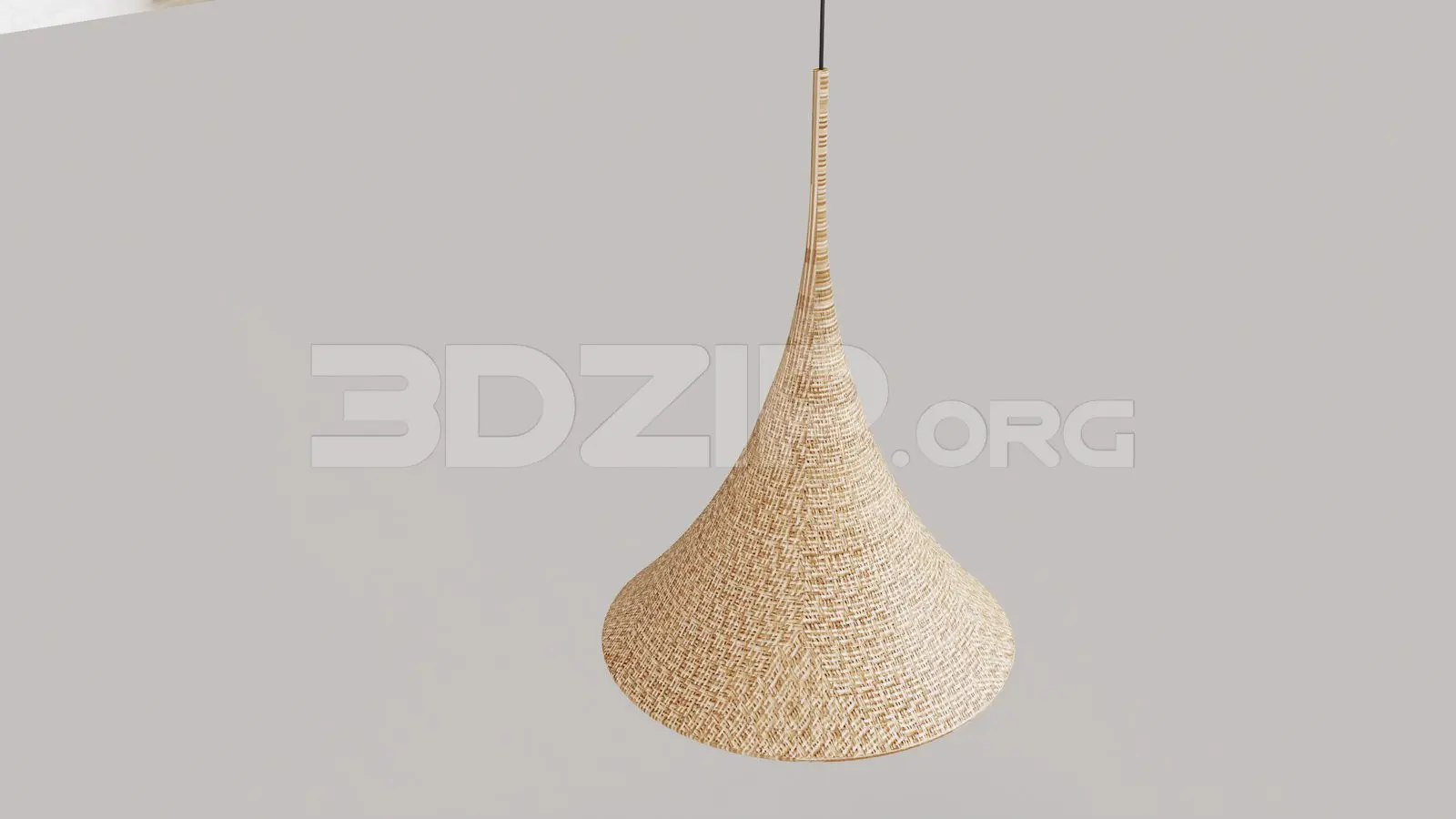 Ceiling Light