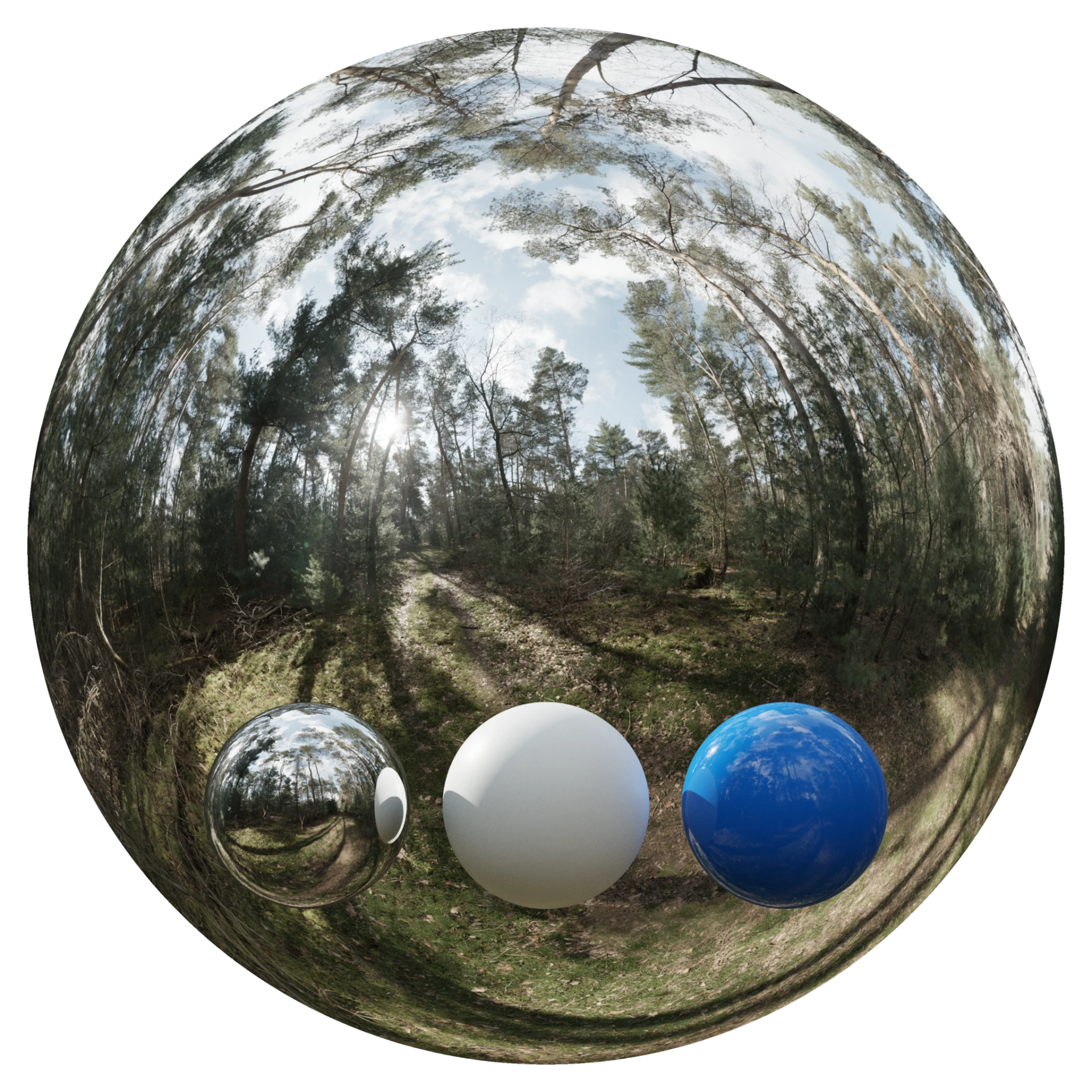Day Environment HDRI 024