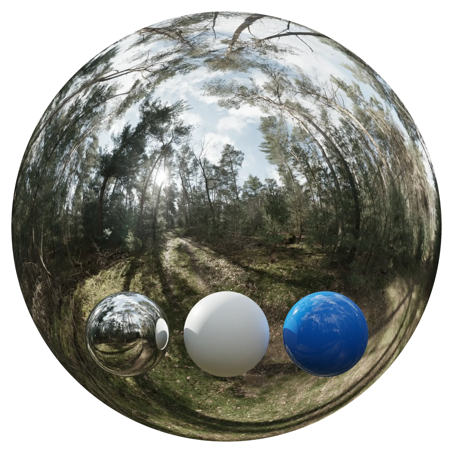 Day Environment HDRI 024
