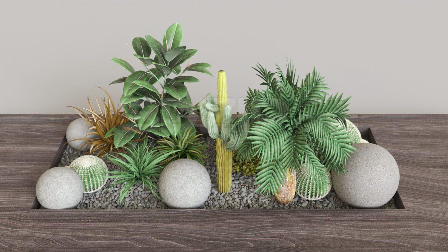 Plant
