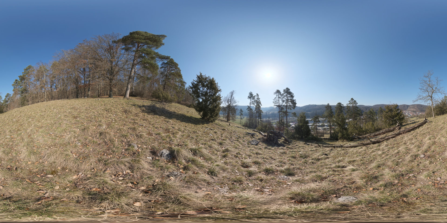 Blaubeuren Hillside