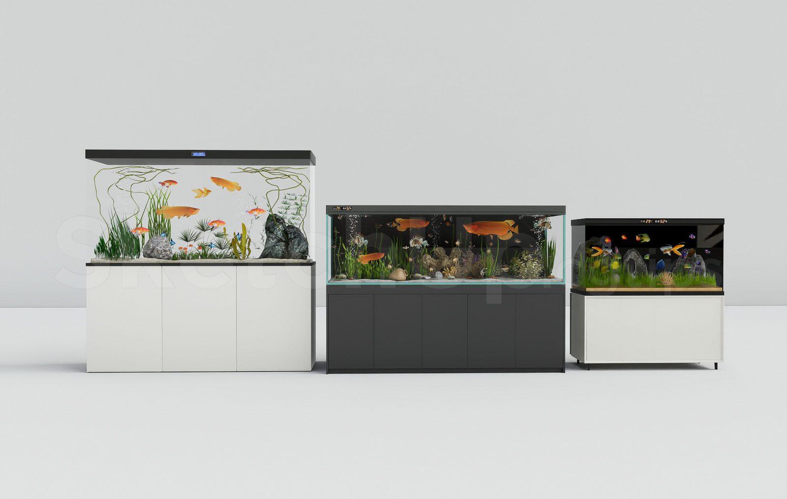 Aquarium Tank