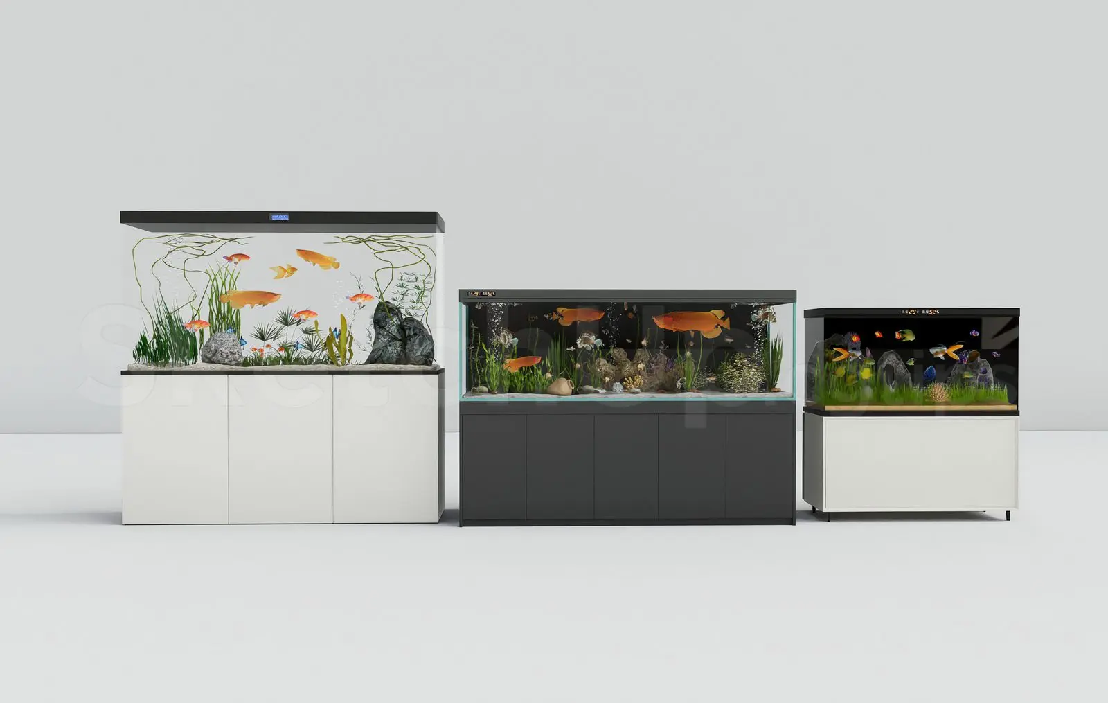 Aquarium Tank