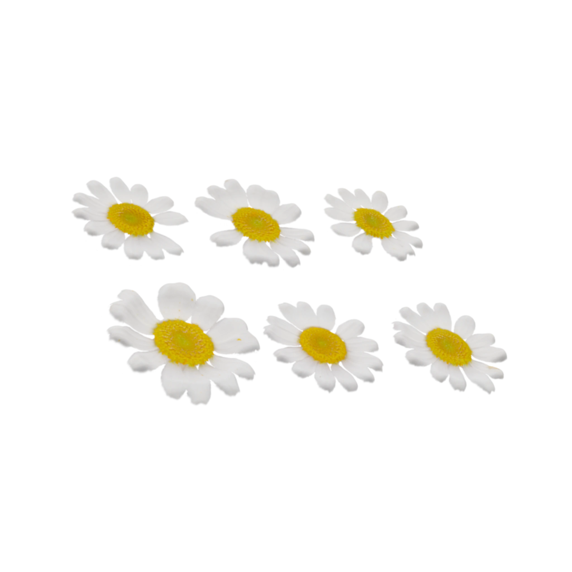 Flower Set 001