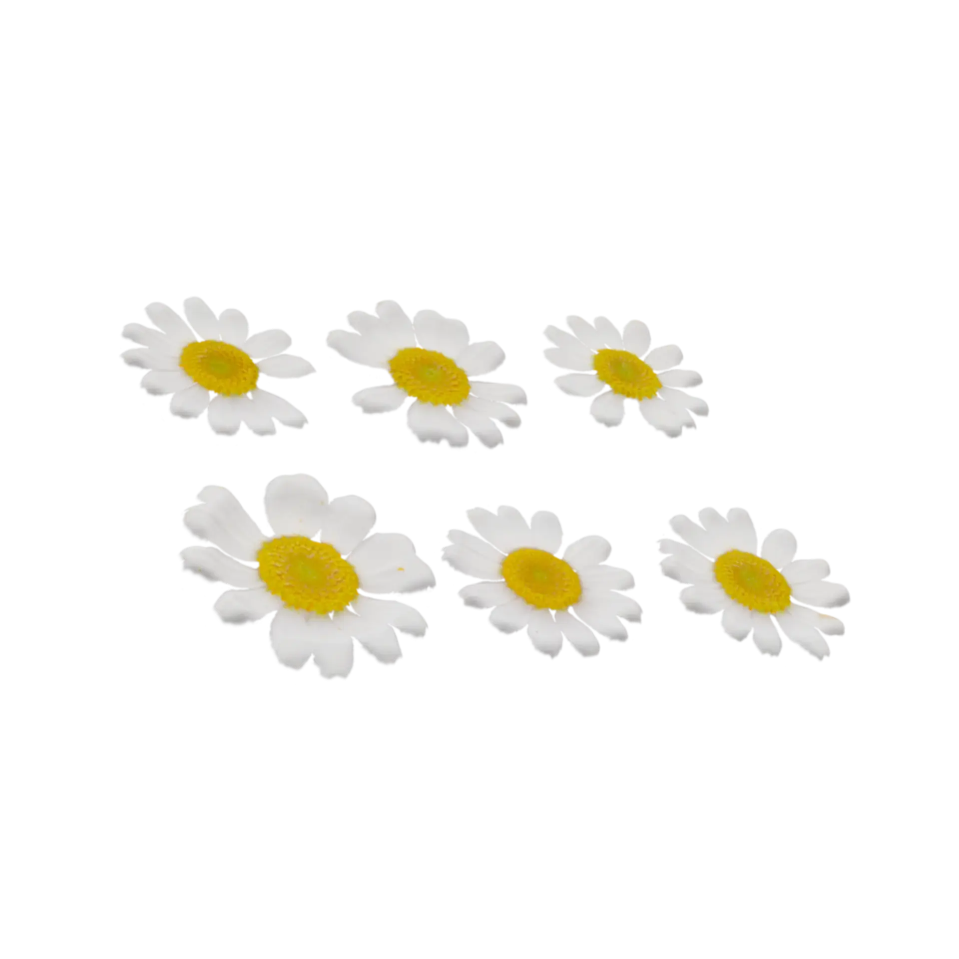 Flower Set 001