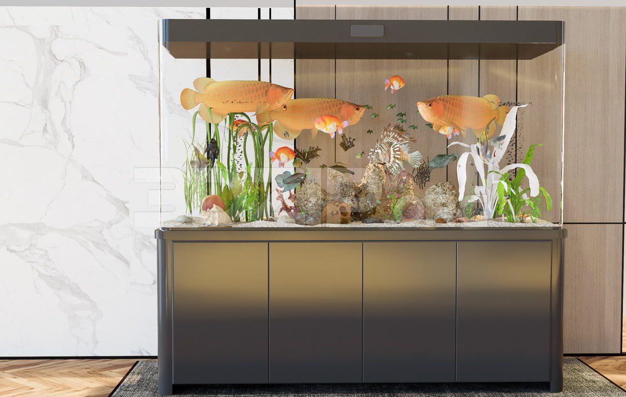 Aquarium