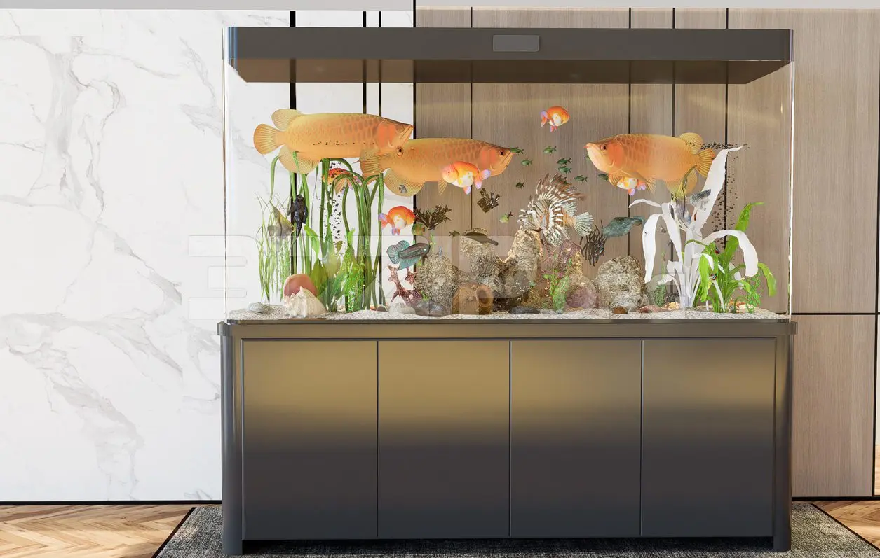 Aquarium