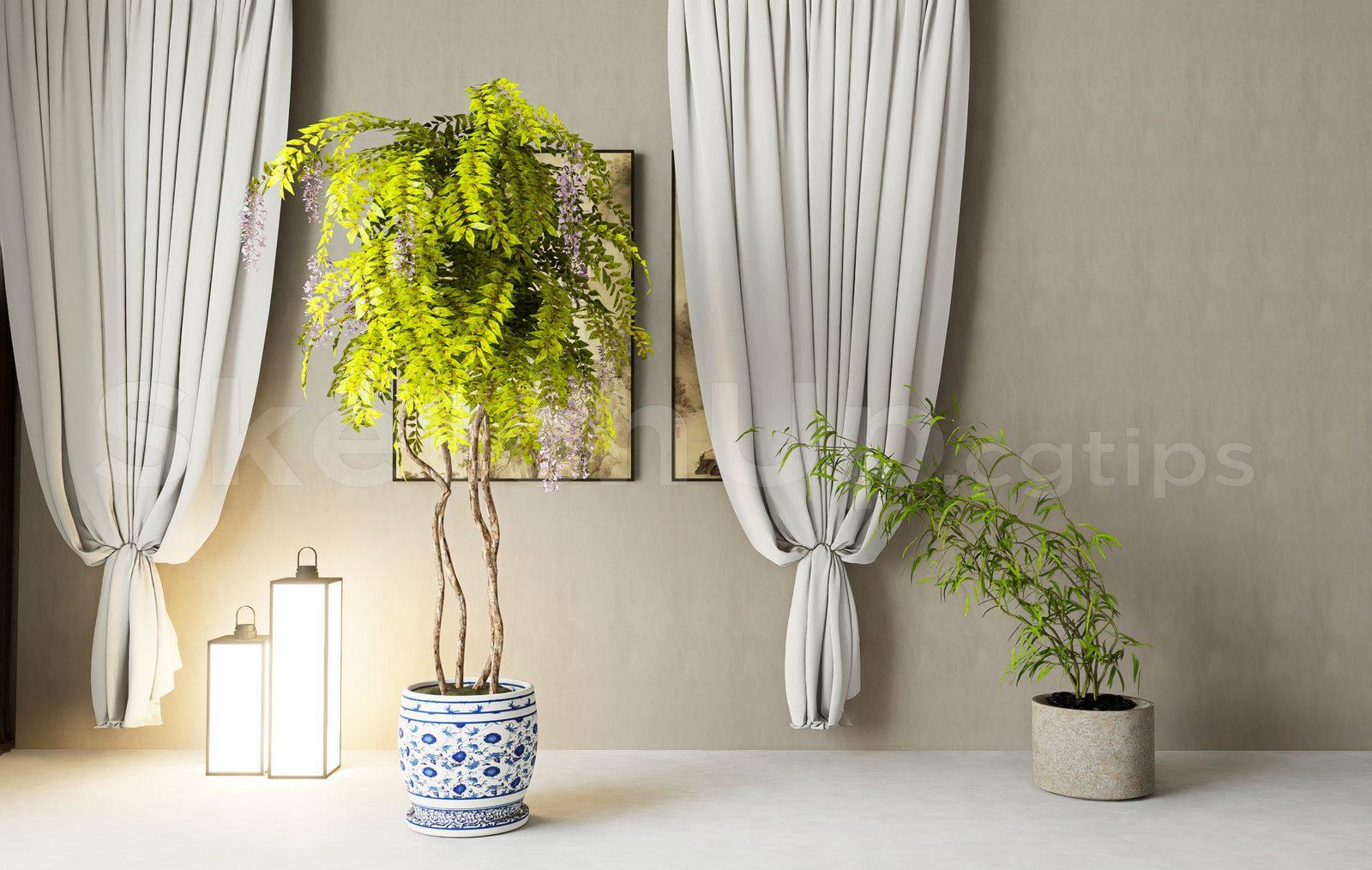 Plant