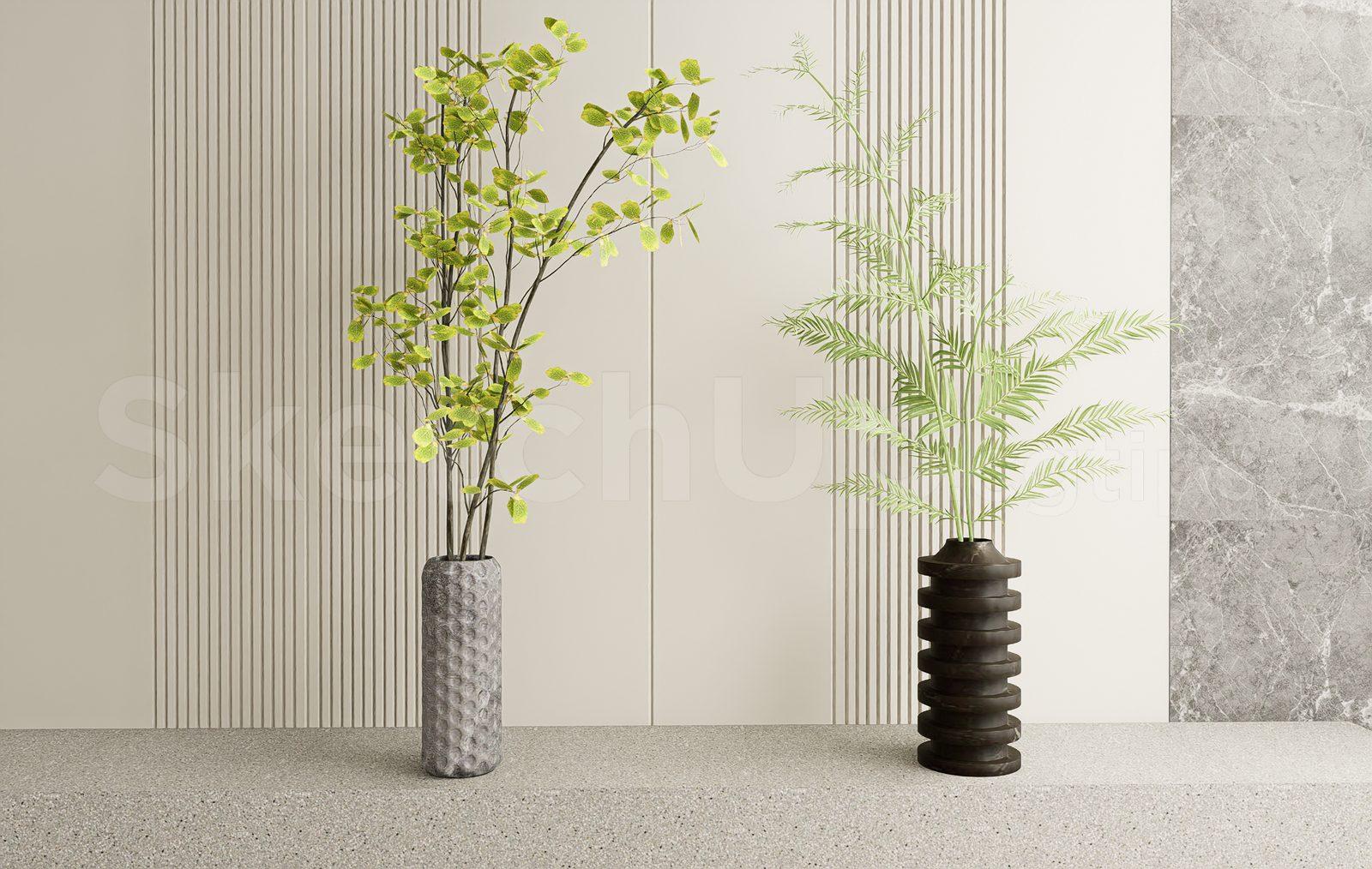 Plant