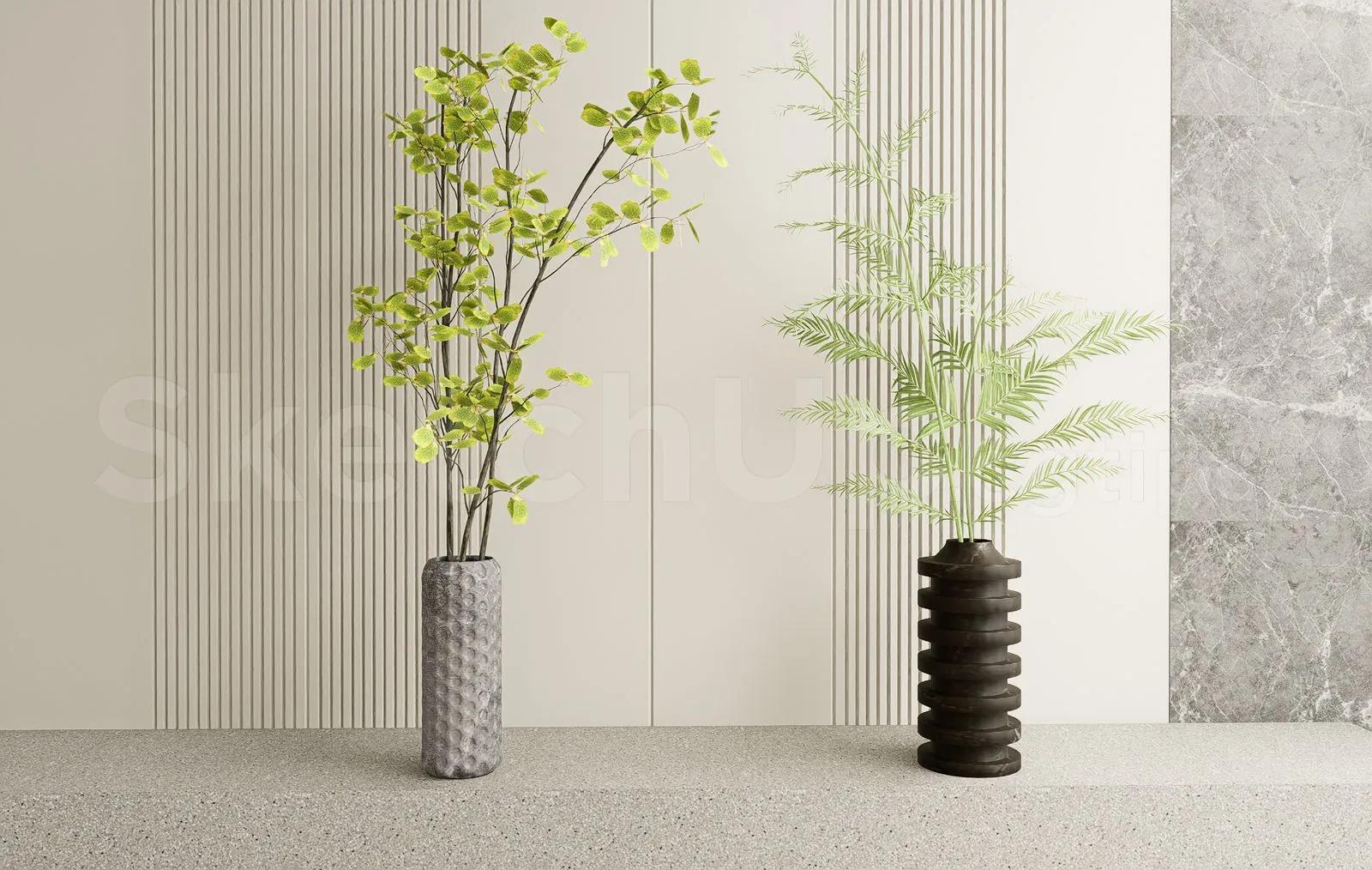 Plant
