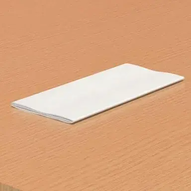 Napkin