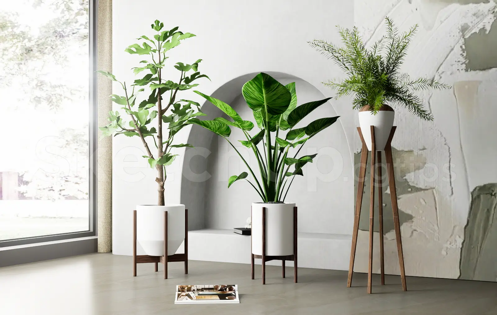 Modern Indoor Plant — preview 1 (cgtips, CC0)