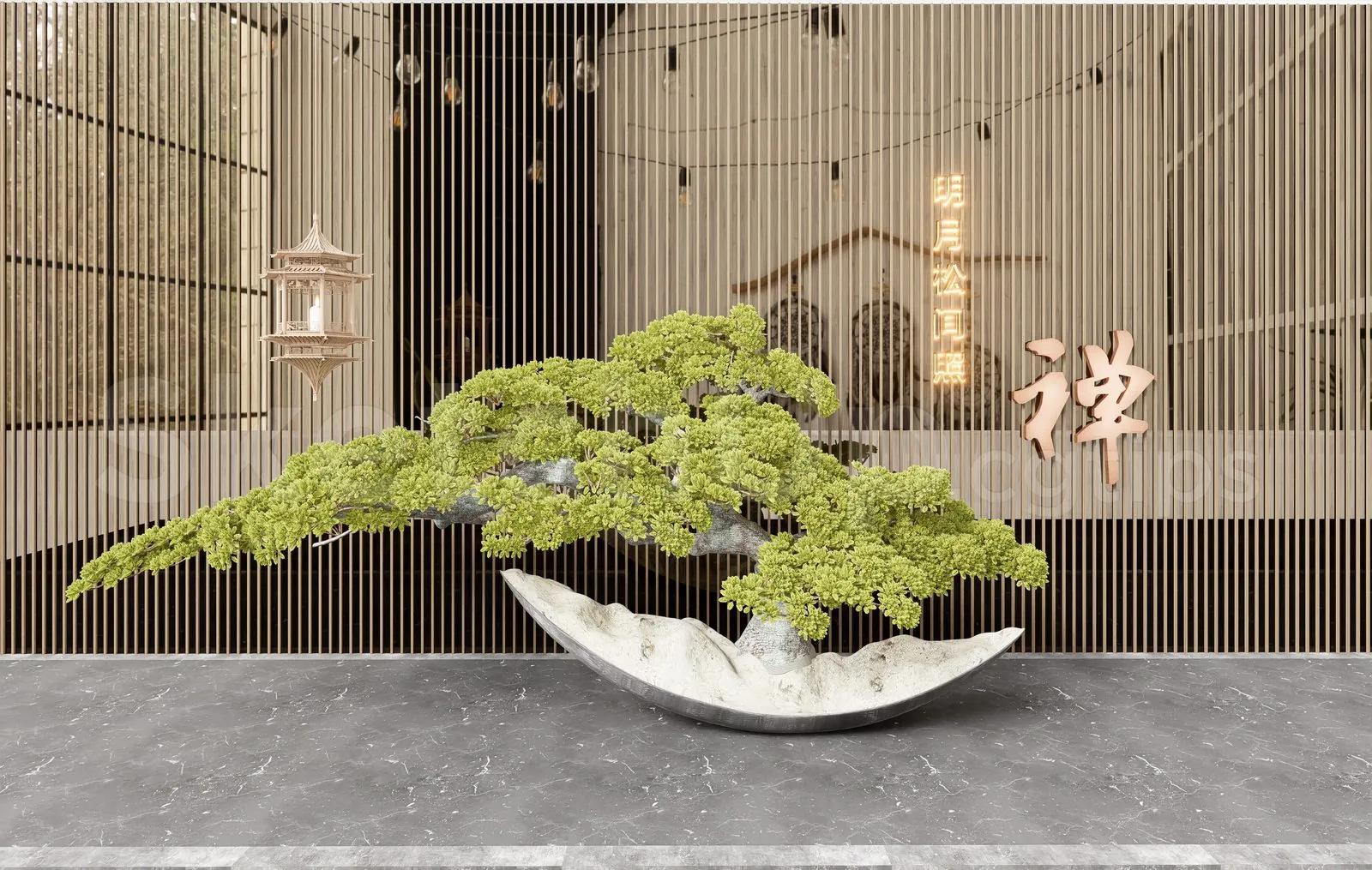 BonSai Tree