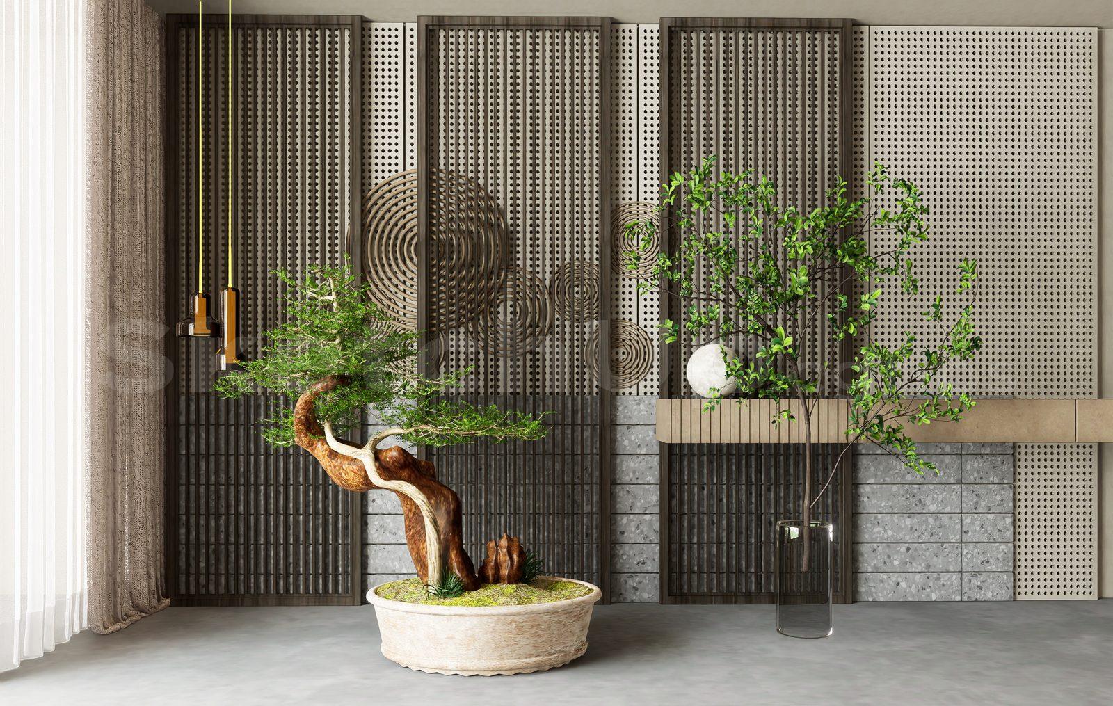 BonSai Tree