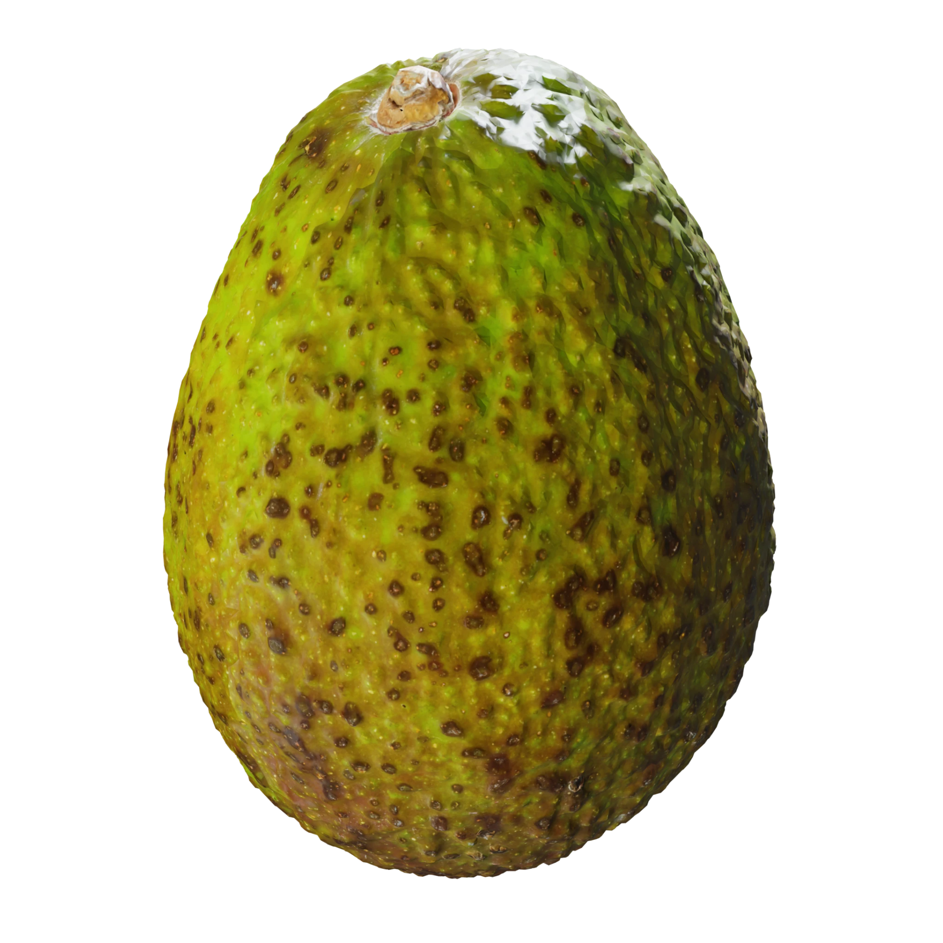3D Avocado 001